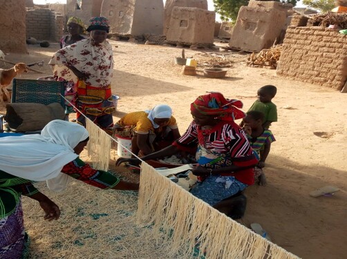 Élevage et les Activités Génératrices de Revenus : Un Pilier de Développement Durable