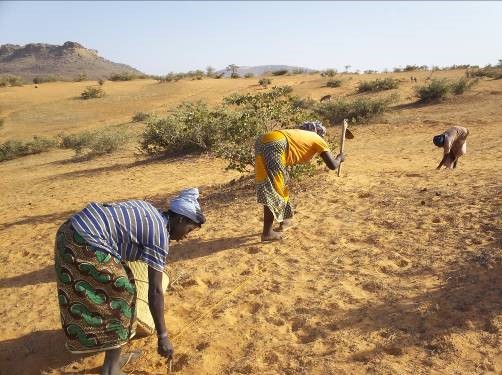 Agroécologie: Cultiver un Avenir Durable